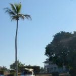 article image - 